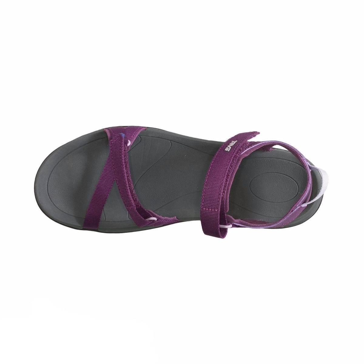 teva verra purple orchid