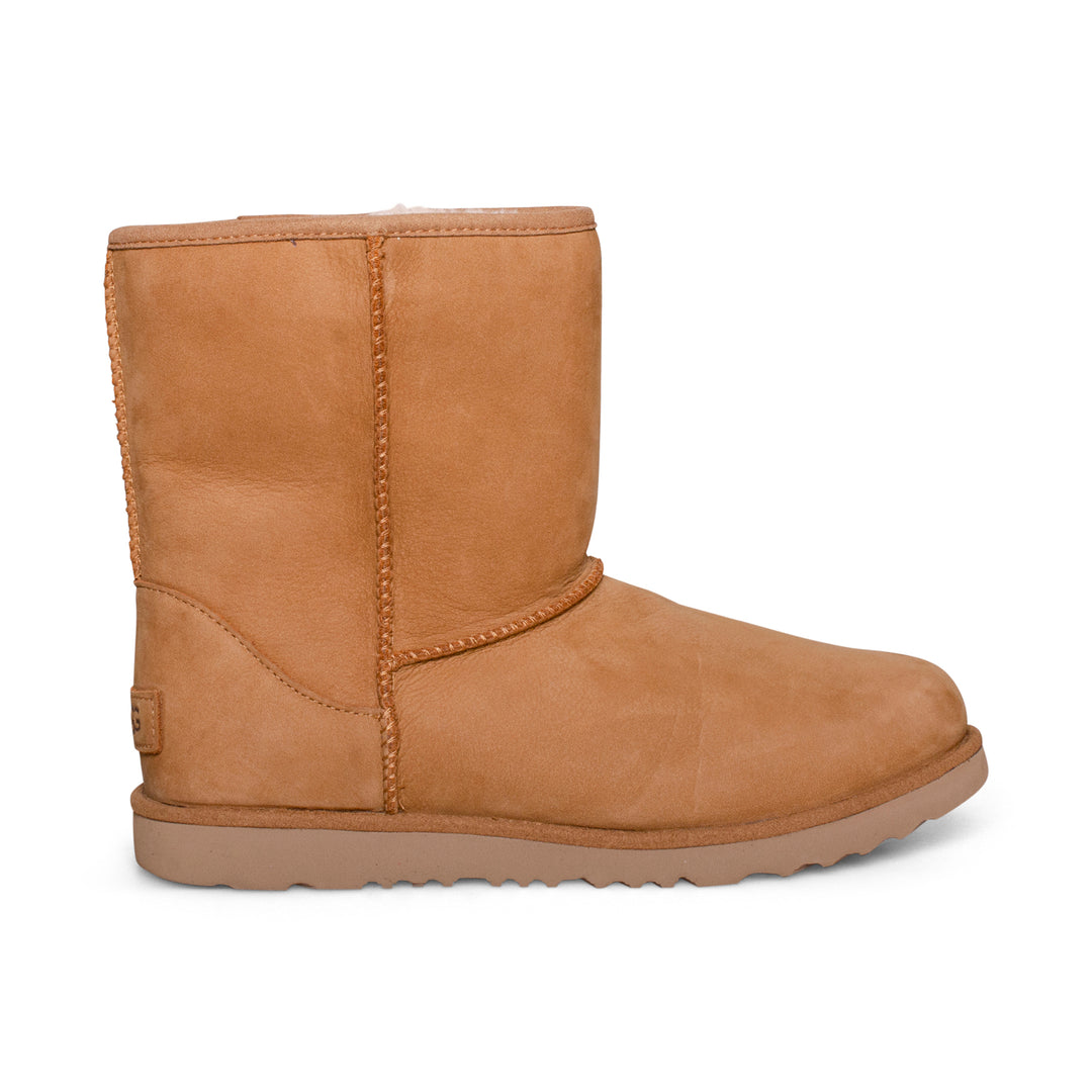 short ugg chestnut boots