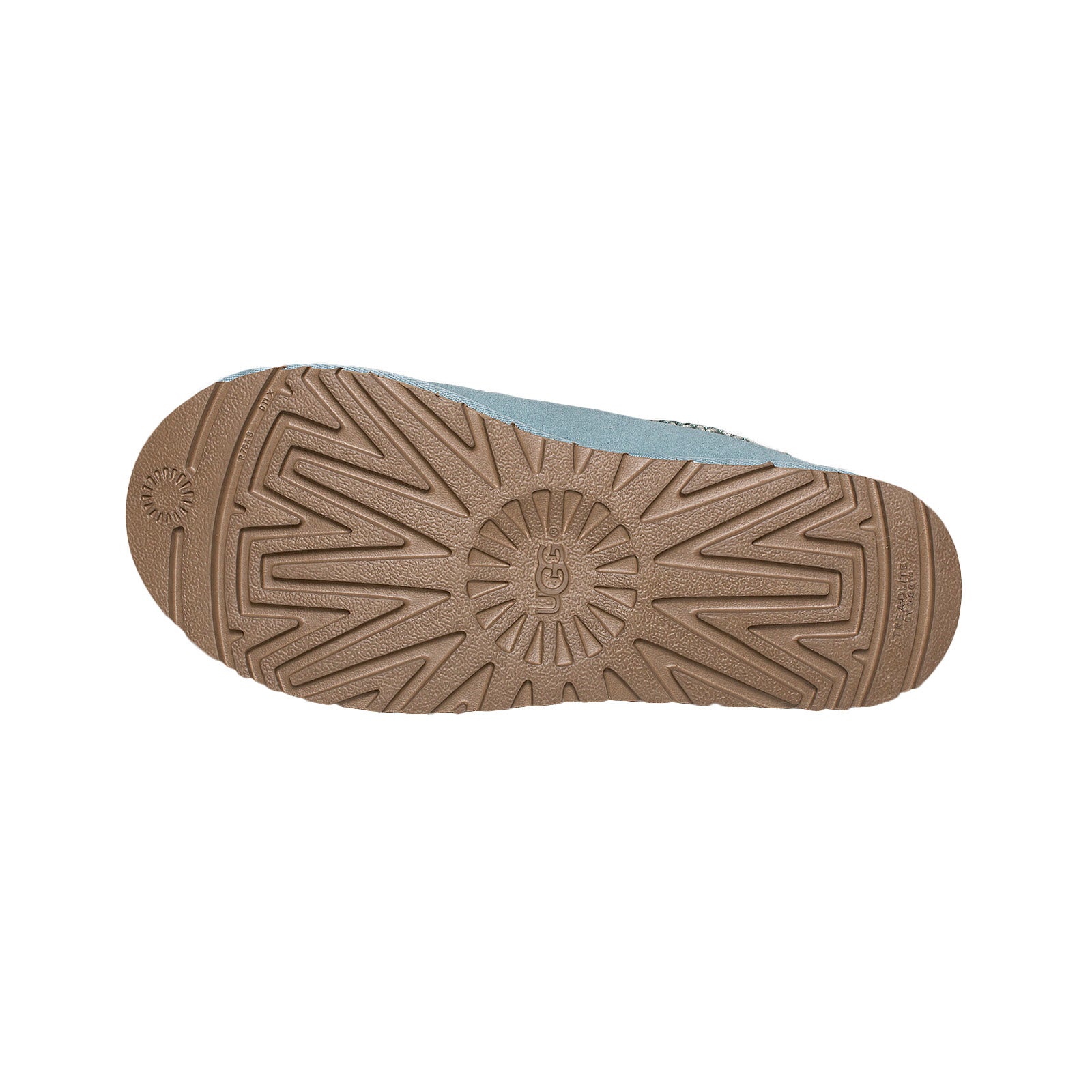 succulent ugg slippers UGG Tasman Succulent Slippers